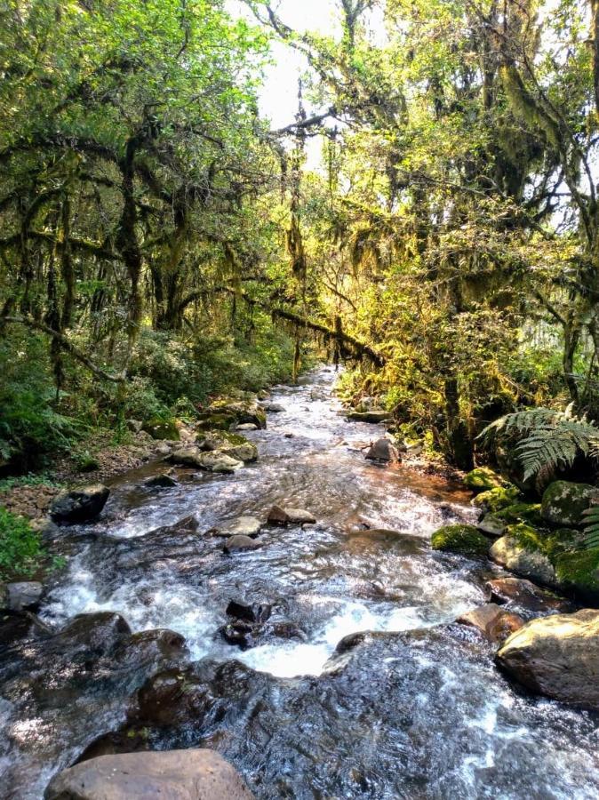 Chales Estancia Cachoeira Do Avencal Урубиси Екстериор снимка
