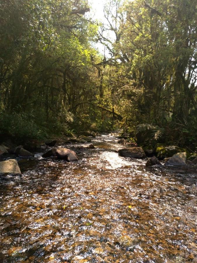 Chales Estancia Cachoeira Do Avencal Урубиси Екстериор снимка